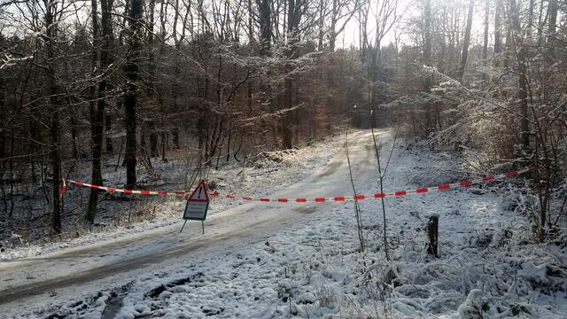 Auch Forstarbeiter sind bei diesen Temperaturen fleißig, so leidet der Boden weniger