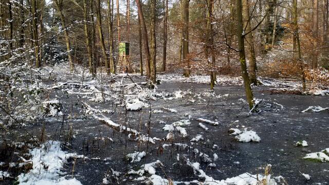 Der Weiher am Fuße des Schweinsberg ist zu Eis erstarrt.