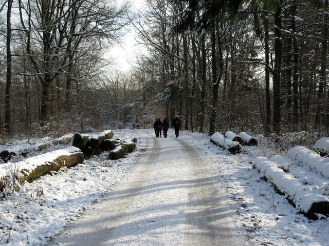 Winterlandschaft