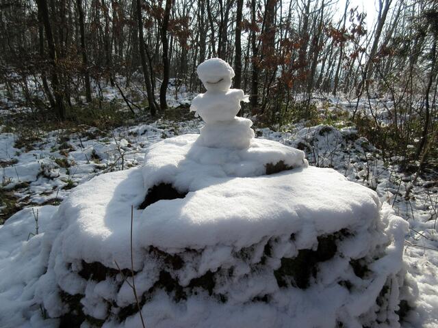 Der Schneemann hat schon etwas unter den wärmenden Sonnenstrahlen gelitten.