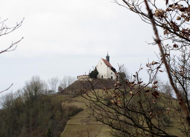 Ein letzter Blick zurück zum höchsten Punkt des Höhenrückens Spitzberg, dem Kapellenberg