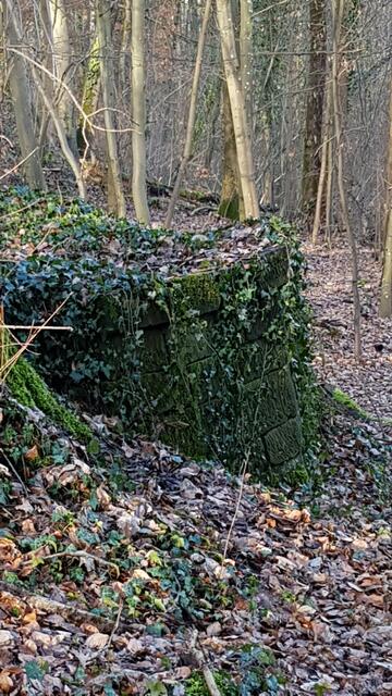 Aussichtsplattform des Heilbronner Verschönerungsvereins