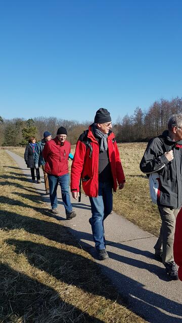 schattenwerfende Wanderer auf der Waldheide