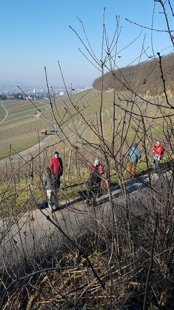Sonnengenuss