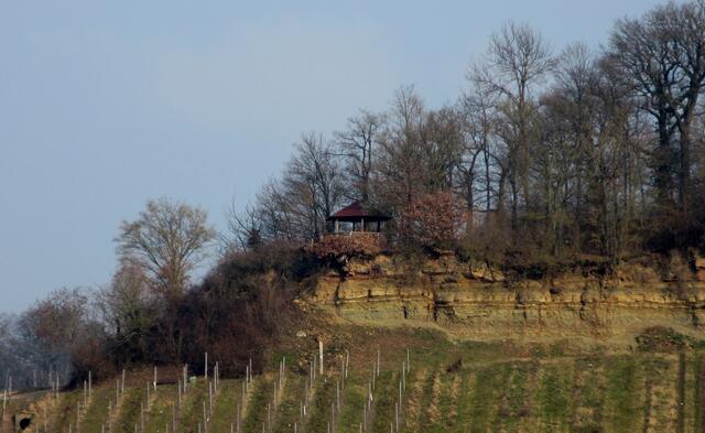 Ein ungewöhnlicher Ausblick auf den Pavillon im Rebstöckle