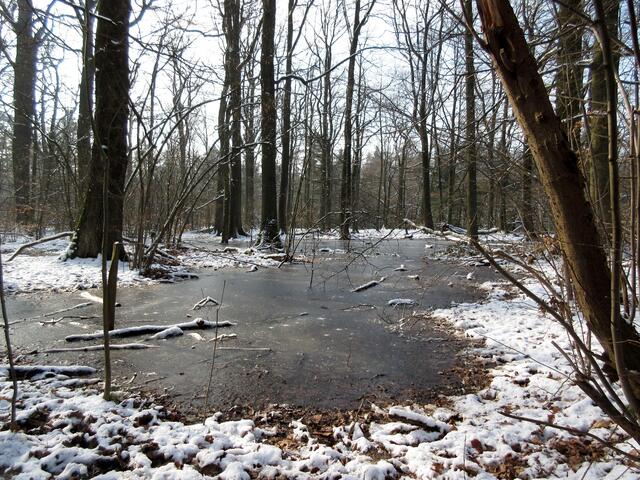 Ein krasser Gegensatz bietet sich obenhalb des Steinbruchs. Schnee und gefrorene Flächen, wo bisher das Wasser stand, lassen Seen vermuten, wo es eigentlich keine gibt.
