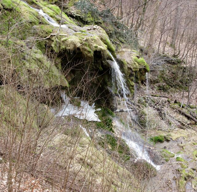 Der Neidlinger Wasserfall hat Mitte des 20. Jahrhunderts seine Nase verloren, da der gewachsene Stein die Eislast nicht mehr tragen konnte. Trotzdem präsentiert er sich als beliebtes Ausflugsziel.