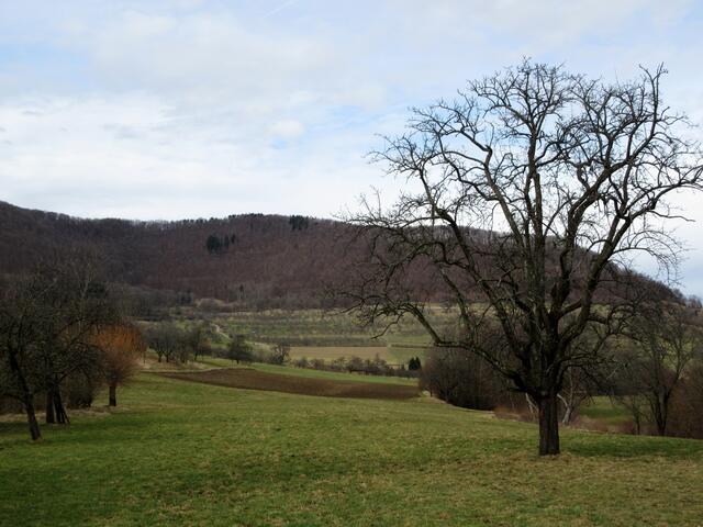 Das Neidlinger Tal führt zurück in den Ort und erlaubt einen letzten Blick auf den Märzenbecherwald
