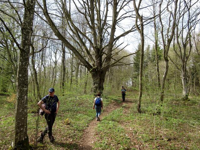 Die Wanderung bot sehr viel Abwechslung, Wald, Wiesen, Berge, Felsen... Alles was die Alb zu bieten hat.