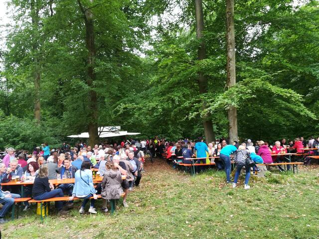 Der Festplatz im Wald ist wunderschön!