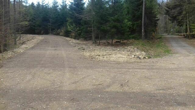 Waldweg beim Silberstollen