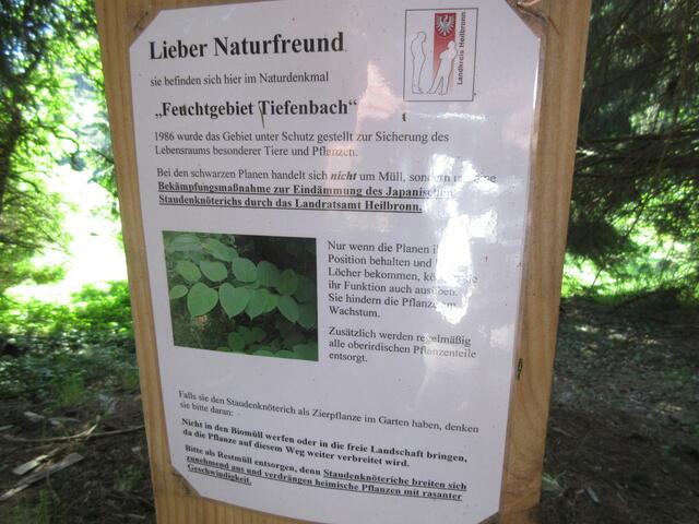 Die Wanderer nahmen interessiert zur Kenntnis, dass hier etwas gegen die unerwünschten Plagepflanzen unternommen wird.