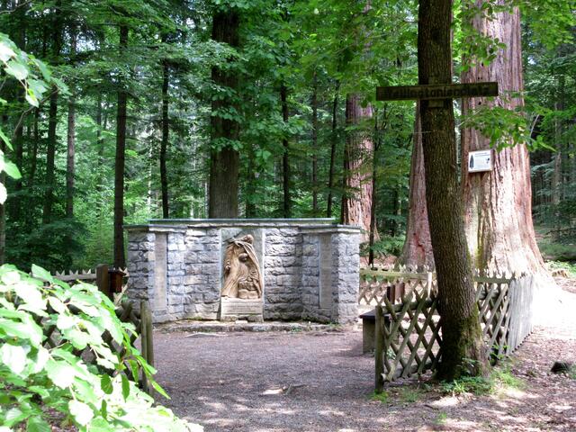Der Wellingtonienplatz