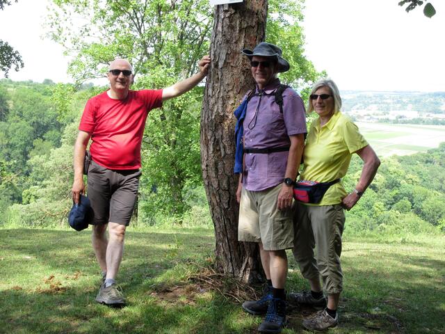 Am Enzblick gab es eine längere Pause. Hier im Schatten hätte die Gruppe ewig sitzen können.