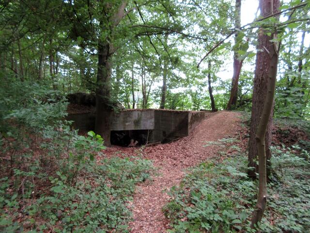 Der Rotenacker ist ein Abschnitt der Neckar-Enz-Stellung, einer entmilitarisierten Zone, die durch Bunker gesichert war. 450 Bunker gab es, die nach dem Zweiten Weltkrieg gesprengt wurden. Die dortige Volkshochschule bietet Führungen an.