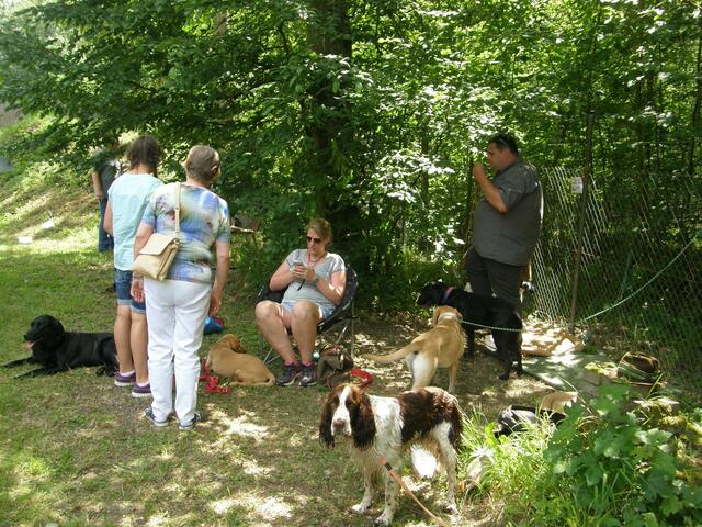 Nahe dem Tontaubenstand lagerten die Jagdhundehalter und zeigten, was ihre Hunde so drauf hatten.