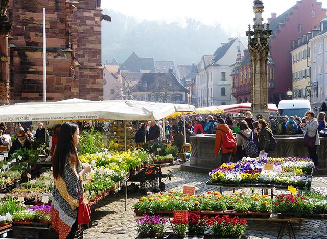 Münstermarkt - Das Angebot ist groß: 80 – 100 Stände stehen unter der Woche auf dem Münsterplatz, an Samstagen sind es 180. | Foto: © Copyright FWTM-Schoenen