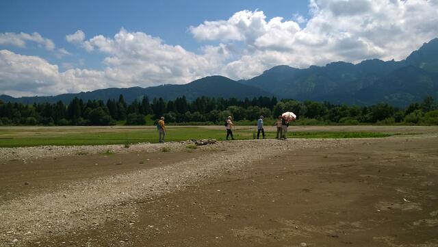 Im Forggensee vor dem Alpenpanorama