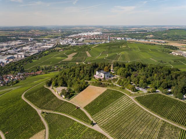 Der Hausberg von Heilbronn mal aus der Vogelperspektive. Natürlich war auf der Guck-a-mol-Seite von Dienstag über Heilbronn der Wartberg zu entdecken... Foto: Matthias Bitsch