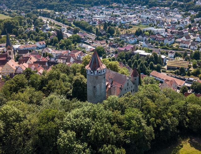 Wer hat die Götzenburg erkannt? Auf der Guck-a-mol-Seite zu Möckmühl vom 23. Juli war die Burg verpixelt abgebildet. Hier das Originalfoto. Foto: Matthias Bitsch