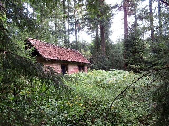 Fast würde man die Hütte übersehen, so zugewachsen ist sie. Da denkt jeder gleich an Hänsel und Gretel... hier könnte die Hexe wohnen.