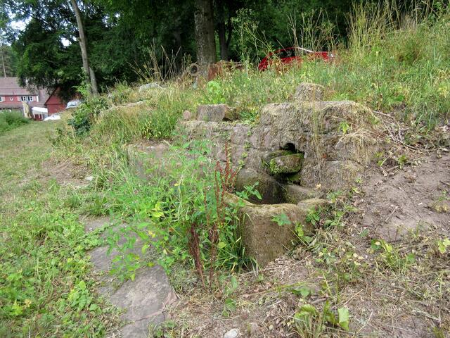 Gleich beim Forsthaus ist auch ein Kleindenkmal auf der Karte eingezeichnet. Wir gehen davon aus, dass es sich um diesen Brunnen handelt.