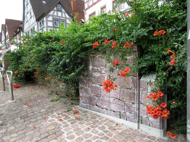 Sogar die Stromkästen (oder Internet?) sind farblich in die Stadtmauer integriert.