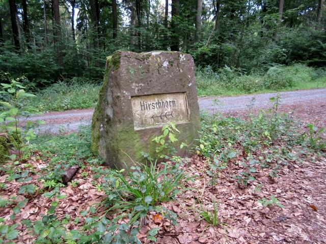 Ein Wegweiser nach Hirschhorn stand schon früh am Weg, aber nicht die kürzeste, sondern eine interessante Strecke wurde gewählt.
