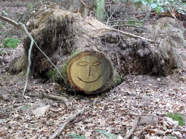 Lächelnde Baumstämme