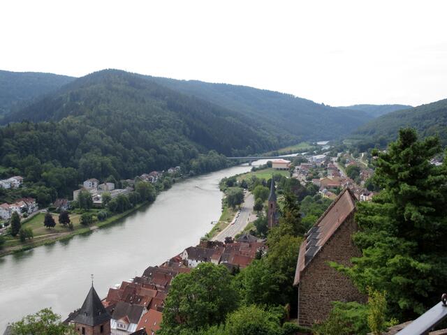 Blick Neckar abwärts und über die Stadt
