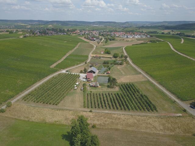 Der Forellensee gehört zu Lehrensteinsfeld. Und um diese Gemeinde drehte sich die Seite Guck a mol am 31. Juli. meine.stimme zeigt jetzt das unverpixelte Bild. Foto: Manuel Maier