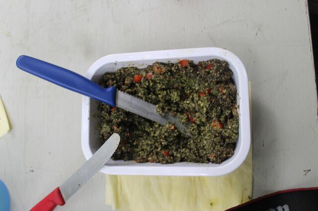 Das Brennnesselpesto kam super an.