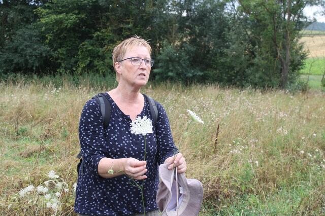 Eine Wilde Möhre, die Urform unserer Karotte. Sie überraschte die Teilnehmer mit einem klugen Detail: In der Mitte der Blüte ist ein schwarzer Punkt zu sehen, die sogenannte Mohrenblüte. Er lockt Insekten an, denn diese denken:. Ach da sitzt schon ein anderer, da gibt es was zu holen...