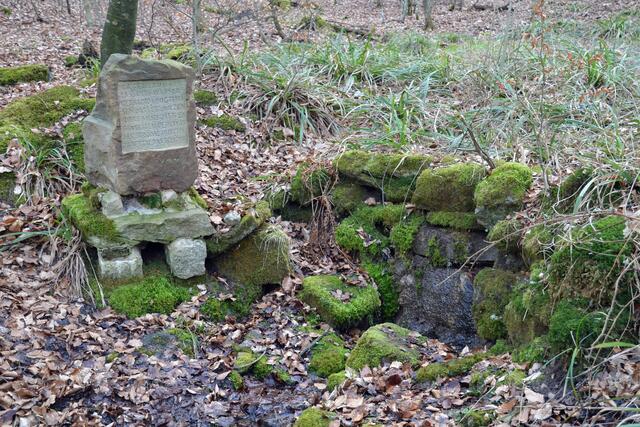 Zaberursprung Stromberg-