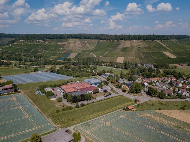 Die Aussicht auf das Weinhaus Eberstadt hier im Original zu sehen. Das verpixelte Bild war am 21. August auf der Guck-a-mol Seite der Heilbronner Stimme zu sehen. Foto: Matthias Bitsch