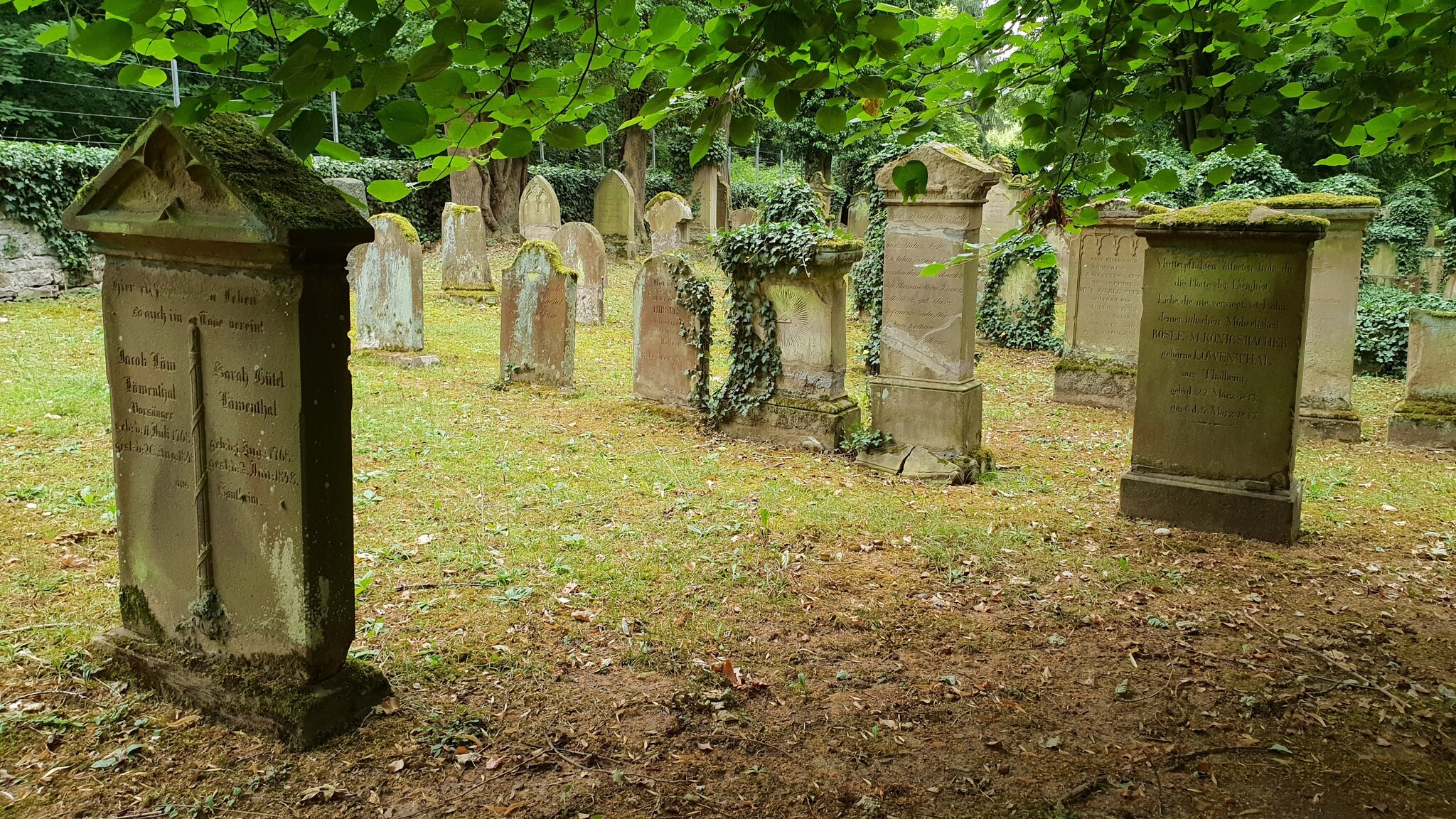 Jüdischer Friedhof in Sontheim Heilbronn