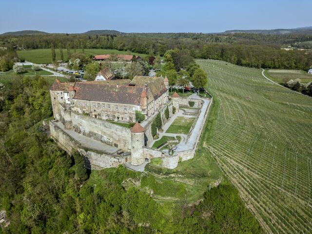 Die Burg Stettenfels war dieses Mal verpixelt auf der Guck-a-mol-Seite über Untergruppenbach zu sehen. meine.stimme zeigt sie im Original. Foto: Matthias Bitsch