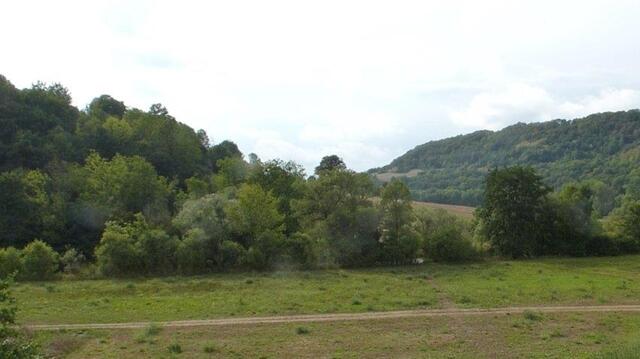 Ausblick aaus dem Fenster in Kocherstetten,  die Folgen der wochenlang anhaltenden Hitze und Dürre sind deutlich zu erkennen