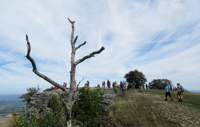Ideales Wanderwetter und Föhnwolken am Himmel, so präsentierte sich der Breitenstein der Wander-FIT Gruppe