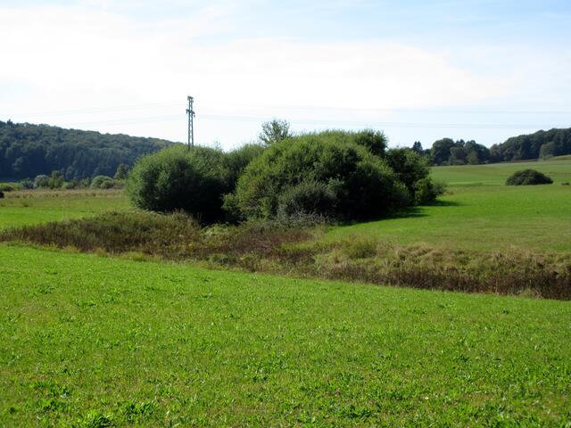 Irrlichter haben die Wanderer nicht gesehen und ob im Graben wie in der Sage beschrieben Oberkirchheim versank oder nur Torf abgebaut wurde, konnten sie nicht ermitteln