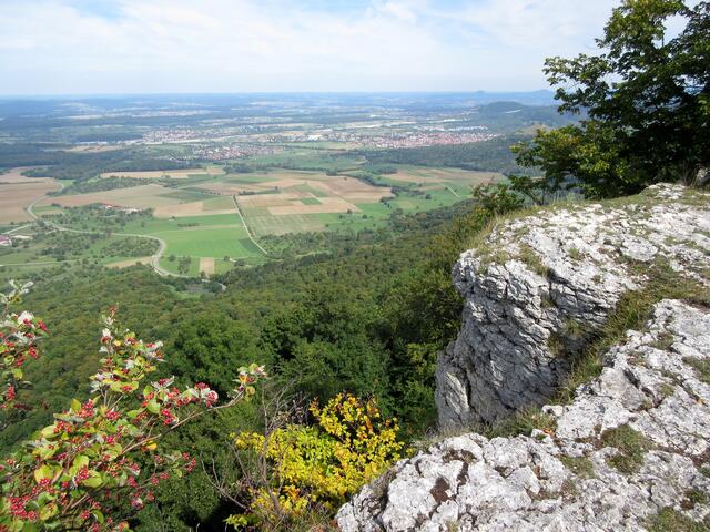 Erstes herbstliches Laub macht die Landschaft bunt.