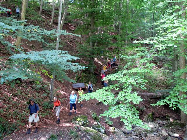 Zipfelbachschlucht