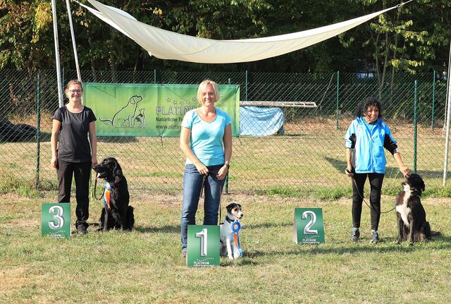 Klasse Beginner: 1. Sandra Dreher / Juno   2. Margot Bronnert / Balu   3. Katja Dierolf / Mogli | Foto: Foto Focus Kraichgau