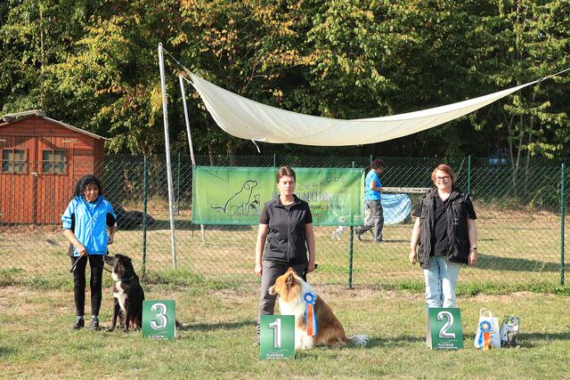 Sieger Senioren: 1. MARION VETTER / Addi    2. MARTINA BECK  / Litchi      3. MARGOT BRONNERT / Maxl | Foto: Foto Focus Kraichgau