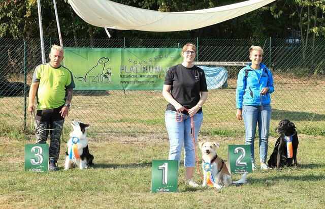 Klasse 1: 1. HANNA URBAN / Rika  2. ELISA WOLF / Nelly  3. THOMAS SOLDNER / Bella | Foto: Foto Focus Kraichgau