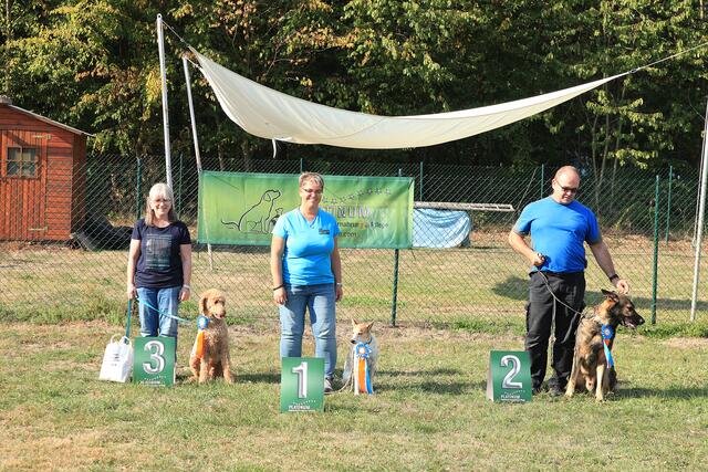 Klasse 2: 1. TANJA WOLF / Loui   2. WOLFGANG HORCH / Amaru   3. ALEXANDRA KACHATURIAN / Janic | Foto: Foto Focus Kraichgau