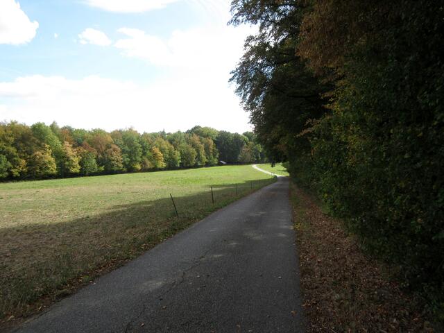 Der Verlauf des Neckarsteigs führt naturnah hinunter zur Bahnlinie und wieder hinauf zum Michaelsberg. Die bequemen Wanderer bleiben oben, auf dem Rhein-Neckar-Weg.