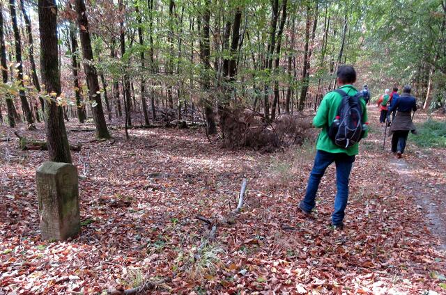 Der Grenzsteinpfad ist der alte Baden-Württembergische Grenzweg und führt an 20 Grenzsteinen entlang zurück zum Jägersee.