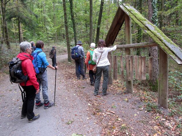 Wald ist Musik. Egal ob Gitarre, Flöte oder Geige, ohne Wald gäbe es viele Instrumente nicht. Die Wanderer erfahren, wie Schall im Holz mit wenig Verlust weitergeleitet wird.