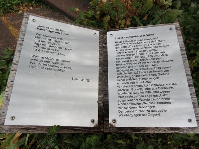 Die Strecke ist sehr abwechslungsreich. Hinunter nach Kleingartach unterhält der Biblische Weinpfad die Wanderer.